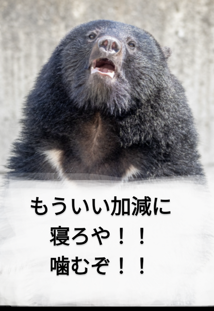 Screenshot_20231212-034232~2.png